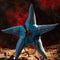 Xcoser The Suicide Squad Starro Cosplay Mask - Xcoser International Costume Ltd.
